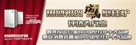 瑞馬燃?xì)獗趻鞝t，壁掛爐產(chǎn)品，哪個牌子的壁掛爐好